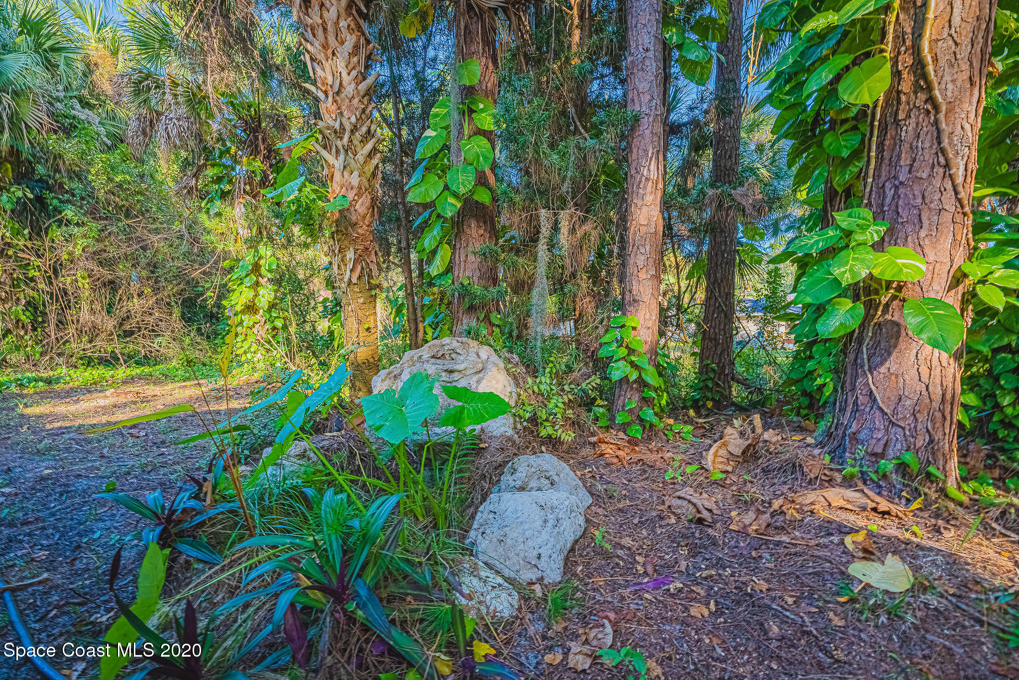 7461 Ester Road Cocoa, FL 32927 - Photo 35 of 38 JC7_9614-HDR