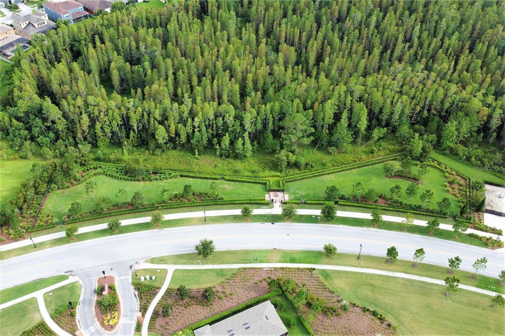 4596 Almada Lane Wesley Chapel, FL 33543 - Photo 32 of 56 a view of a golf course with a lake