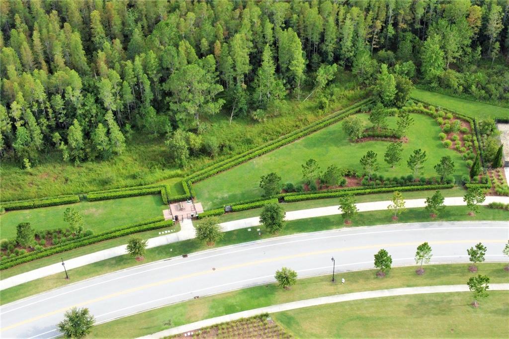 4596 Almada Lane Wesley Chapel, FL 33543 - Photo 34 of 56 a view of yard with green space