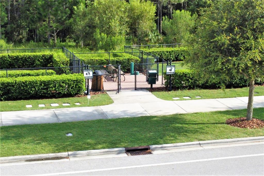 4596 Almada Lane Wesley Chapel, FL 33543 - Photo 36 of 56