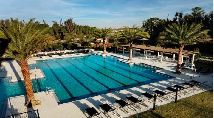 4596 Almada Lane Wesley Chapel, FL 33543 - Photo 42 of 56