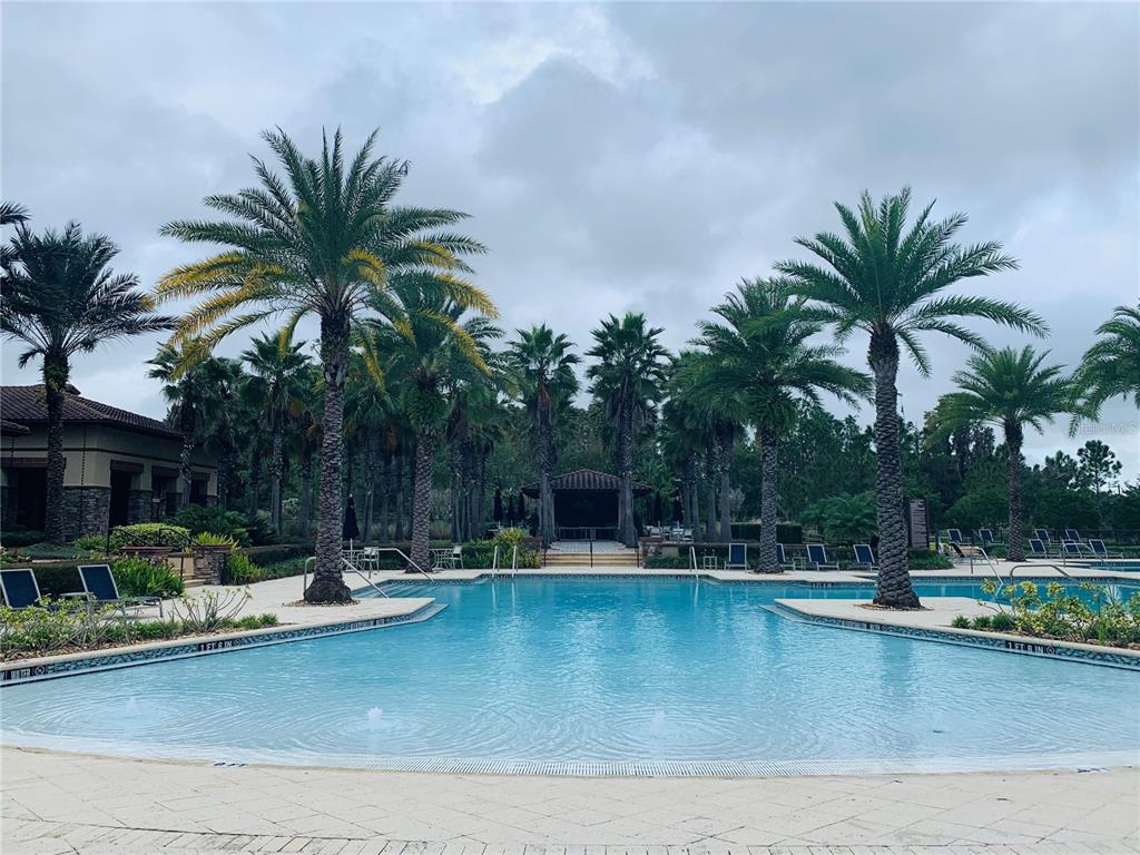 4596 Almada Lane Wesley Chapel, FL 33543 - Photo 43 of 56 a view of a swimming pool with a table and chairs