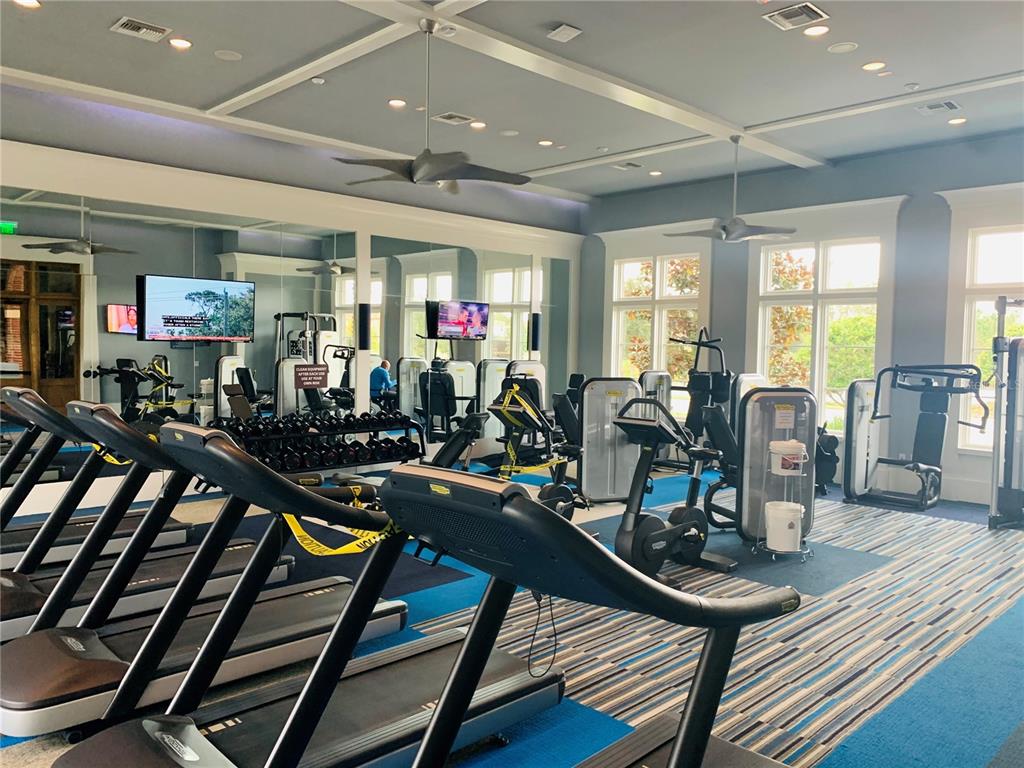 4596 Almada Lane Wesley Chapel, FL 33543 - Photo 45 of 56 a view of a room with gym equipment