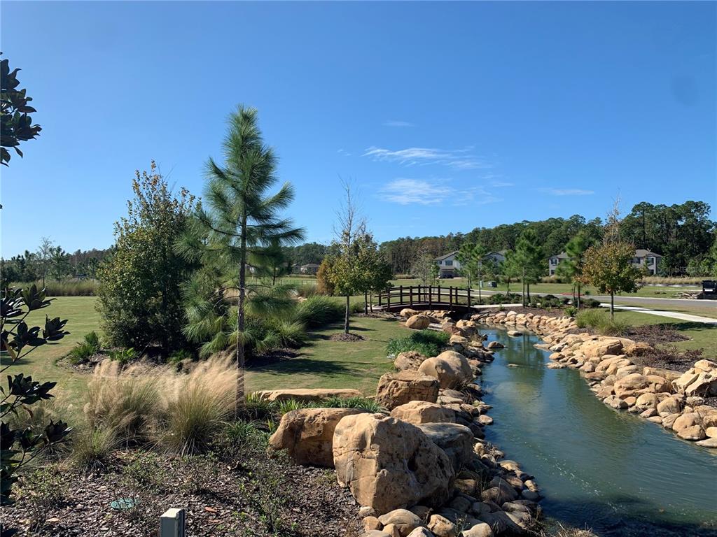 4596 Almada Lane Wesley Chapel, FL 33543 - Photo 46 of 56 a view of a lake with lawn chairs
