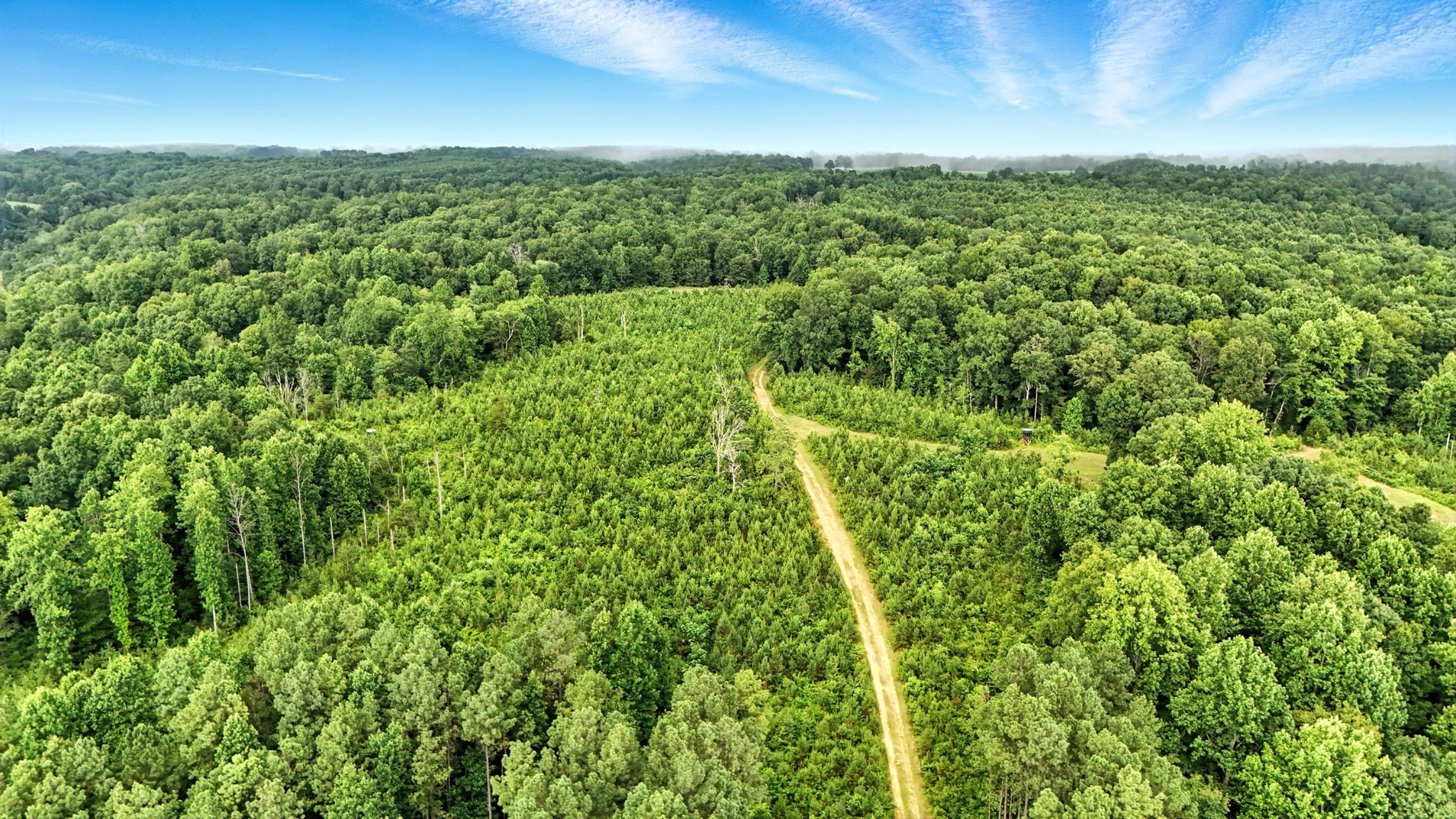 0 West Hollow Road Goodspring, TN 38460 - Photo 52 of 99