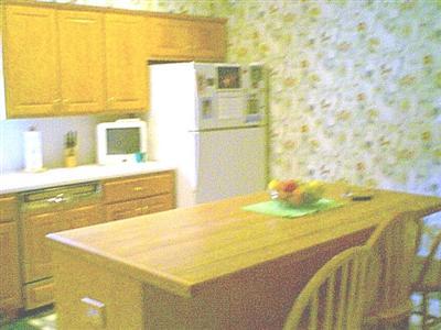 69755 Rose Road Sturgis, MI 49091 - Photo 6 of 8 Additional Photo