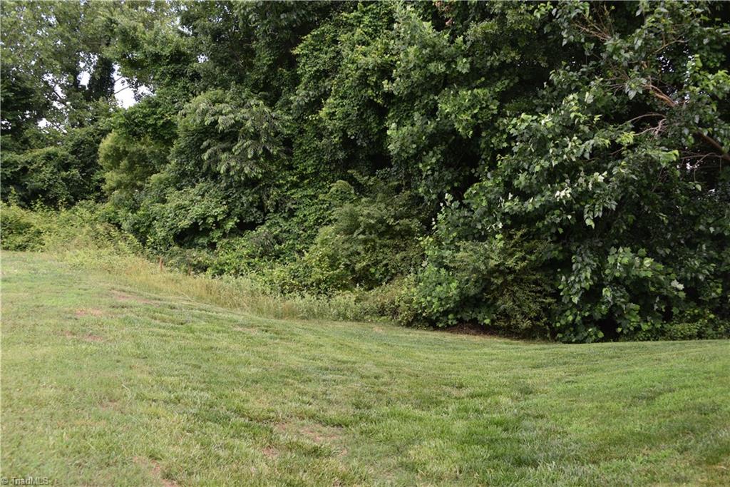 2020 Winston Diamond Court Raleigh, NC 27610 - Photo 6 of 6 Gallery Image 6