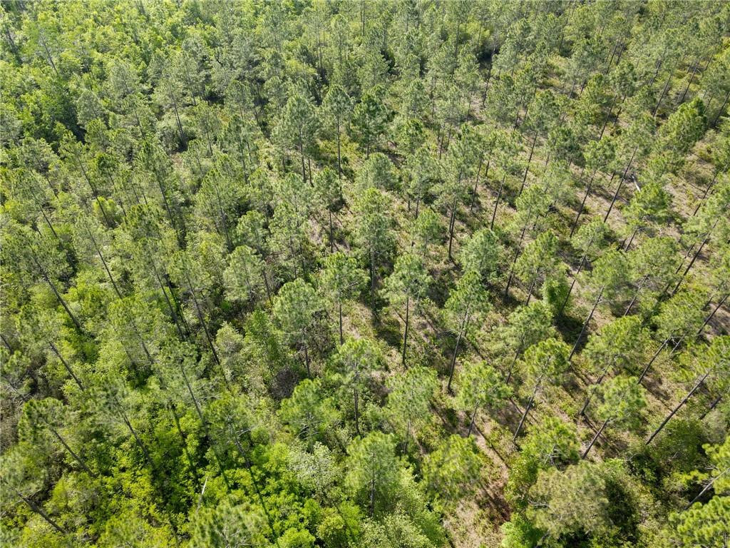 5015 Wood Duck Branch Road Blackshear, GA 31516 - Photo 9 of 12