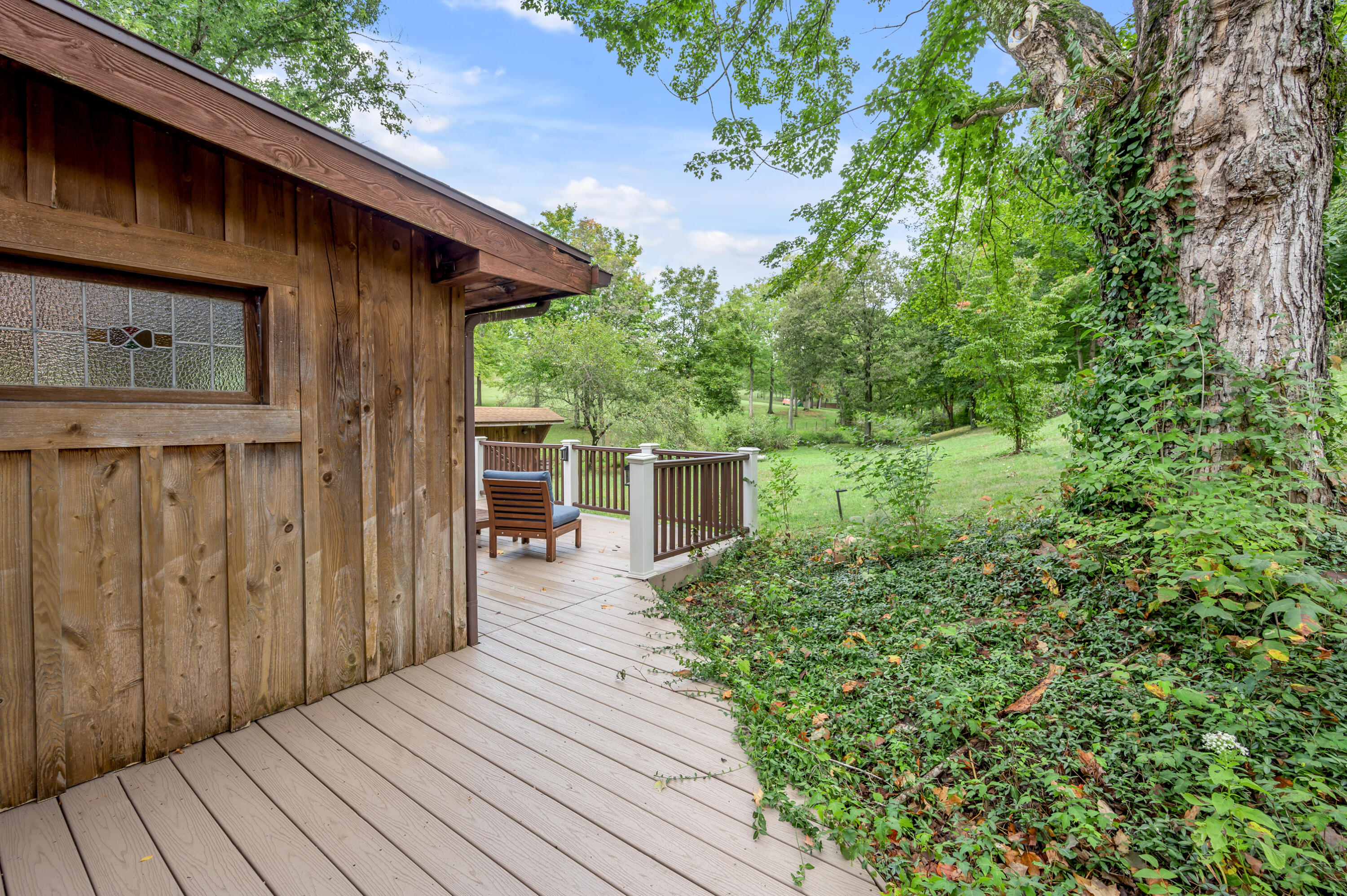 446 Levy Road Paris, KY 40361 - Photo 54 of 83 TDB_6885