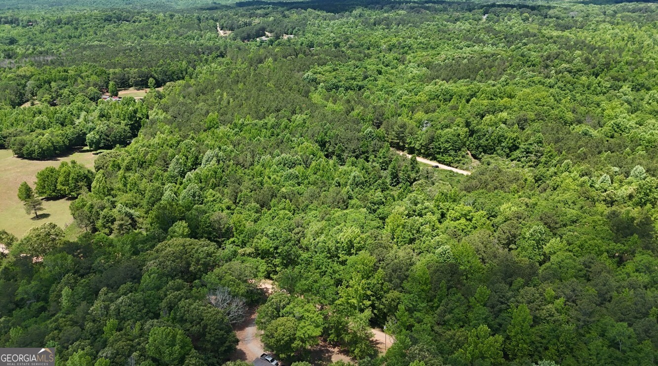 0 Creek Road, Unit LOT 8 Ashland, AL 36251 - Photo 16 of 25