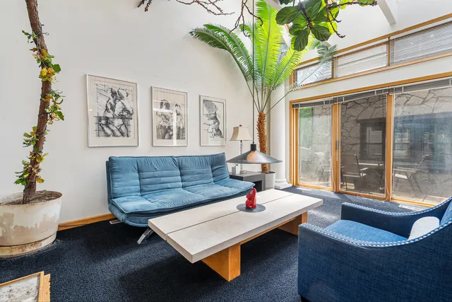 a living room with furniture and a potted plant
