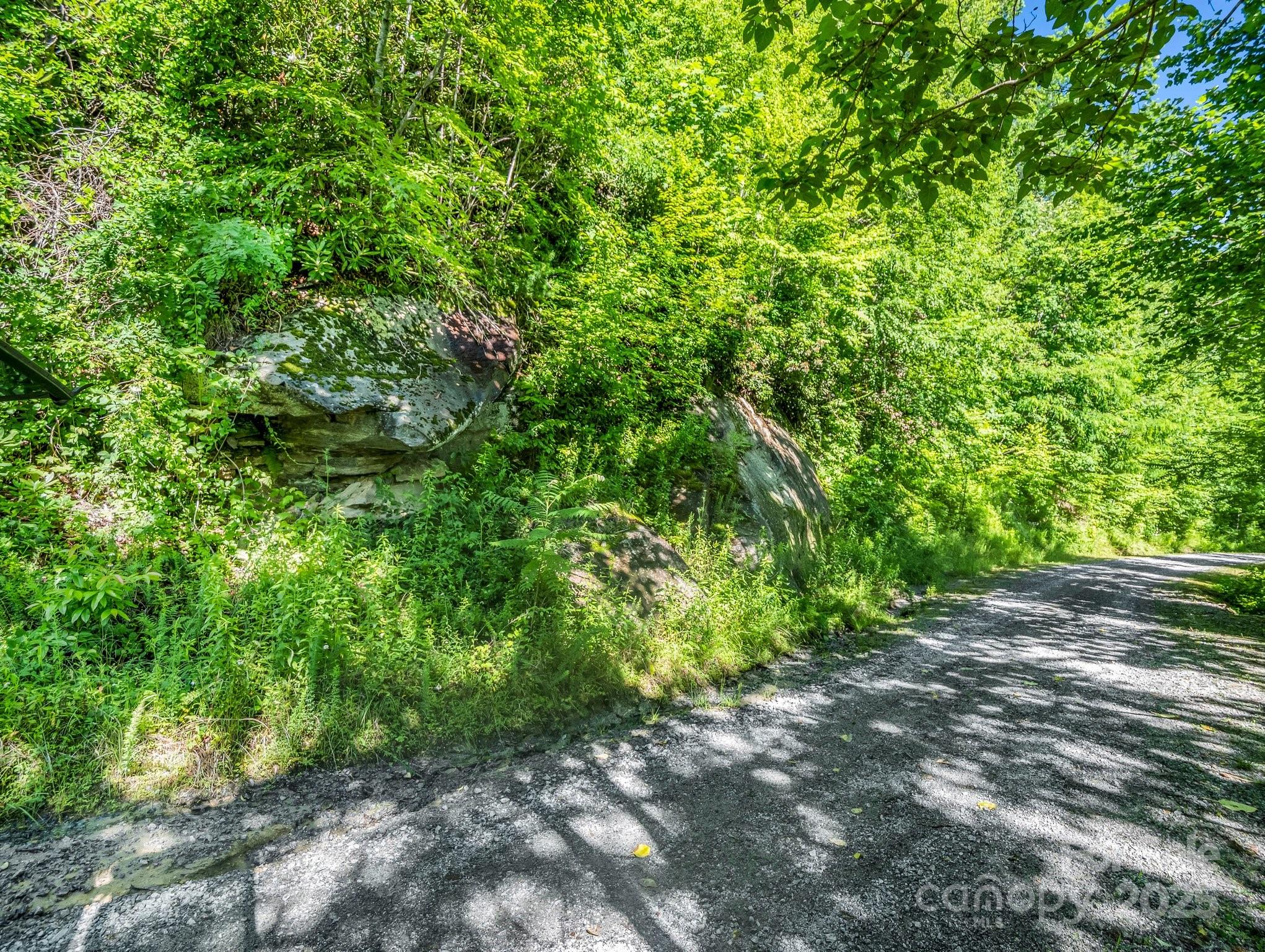 Tbd Climbing Road Hendersonville, NC 28792 - Photo 12 of 30 Gallery Image 12