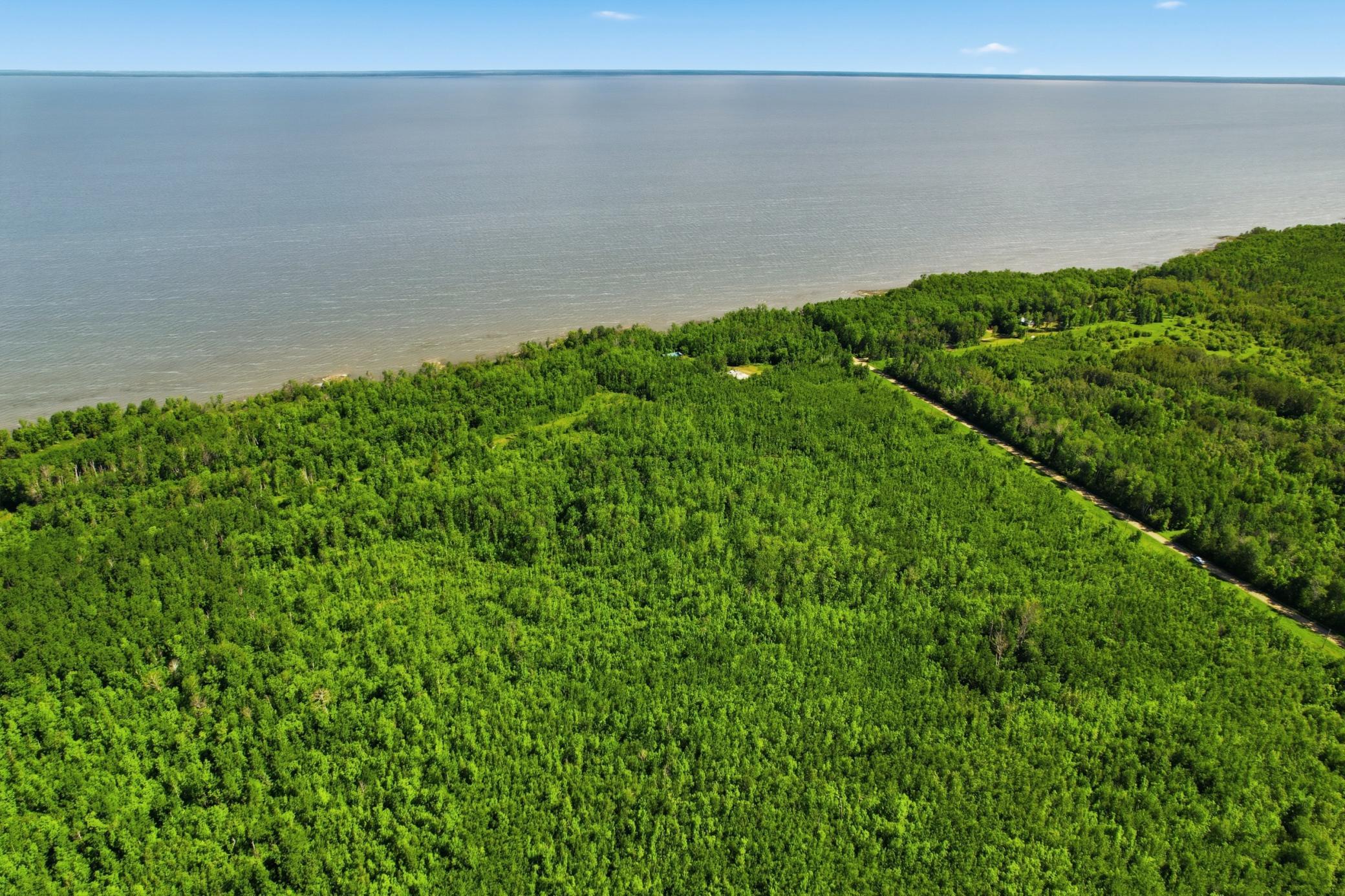 Tbd Sandberg Road Northeast Kelliher, MN 56650 - Photo 4 of 13