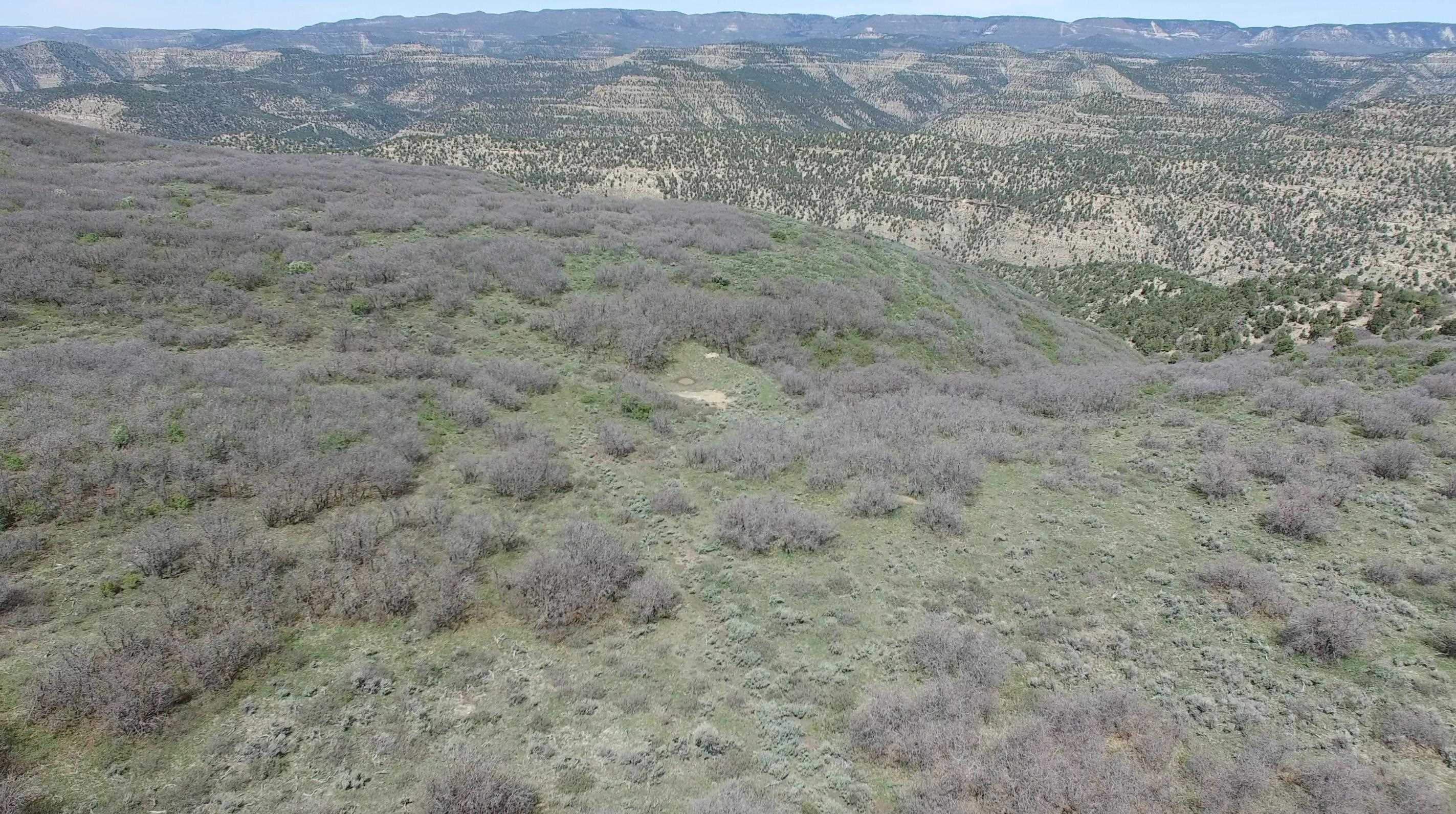 Tbd Tbd Petro Lewis Road De Beque, CO 81630 - Photo 14 of 35 Gallery Image 14