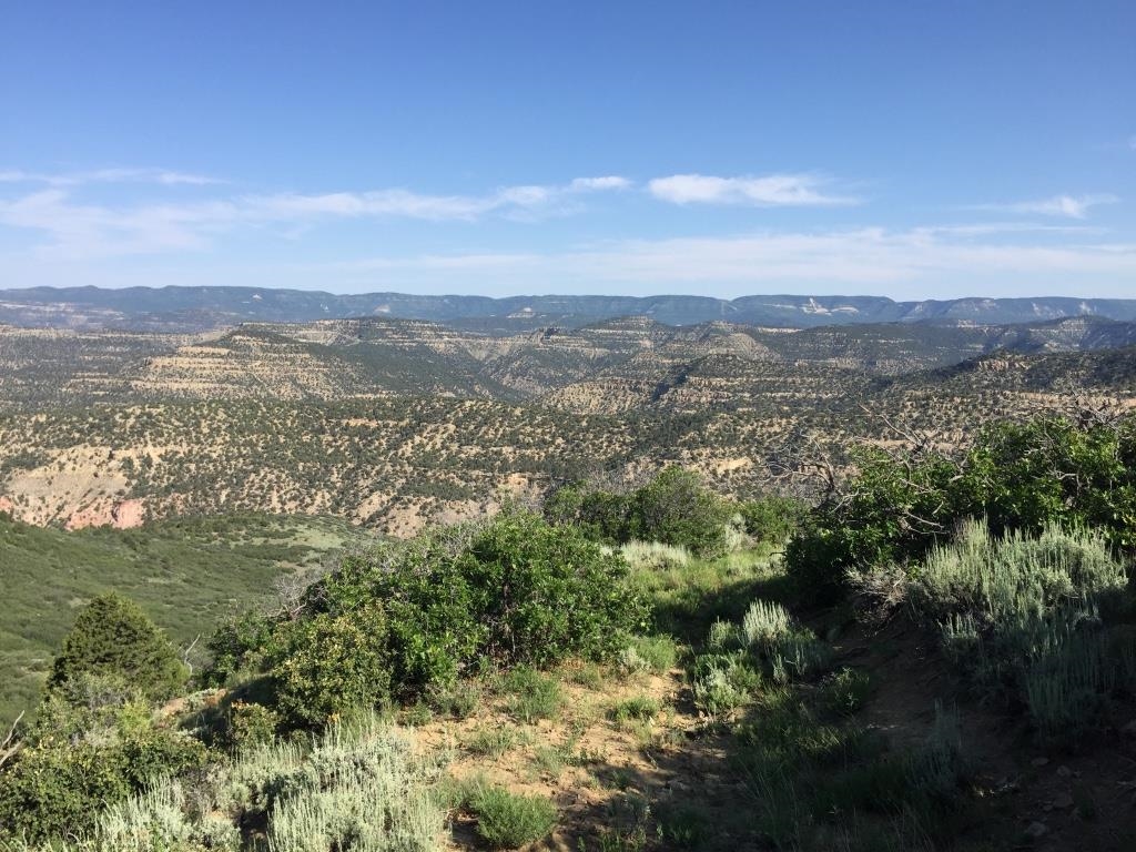 Tbd Tbd Petro Lewis Road De Beque, CO 81630 - Photo 21 of 35 Gallery Image 21