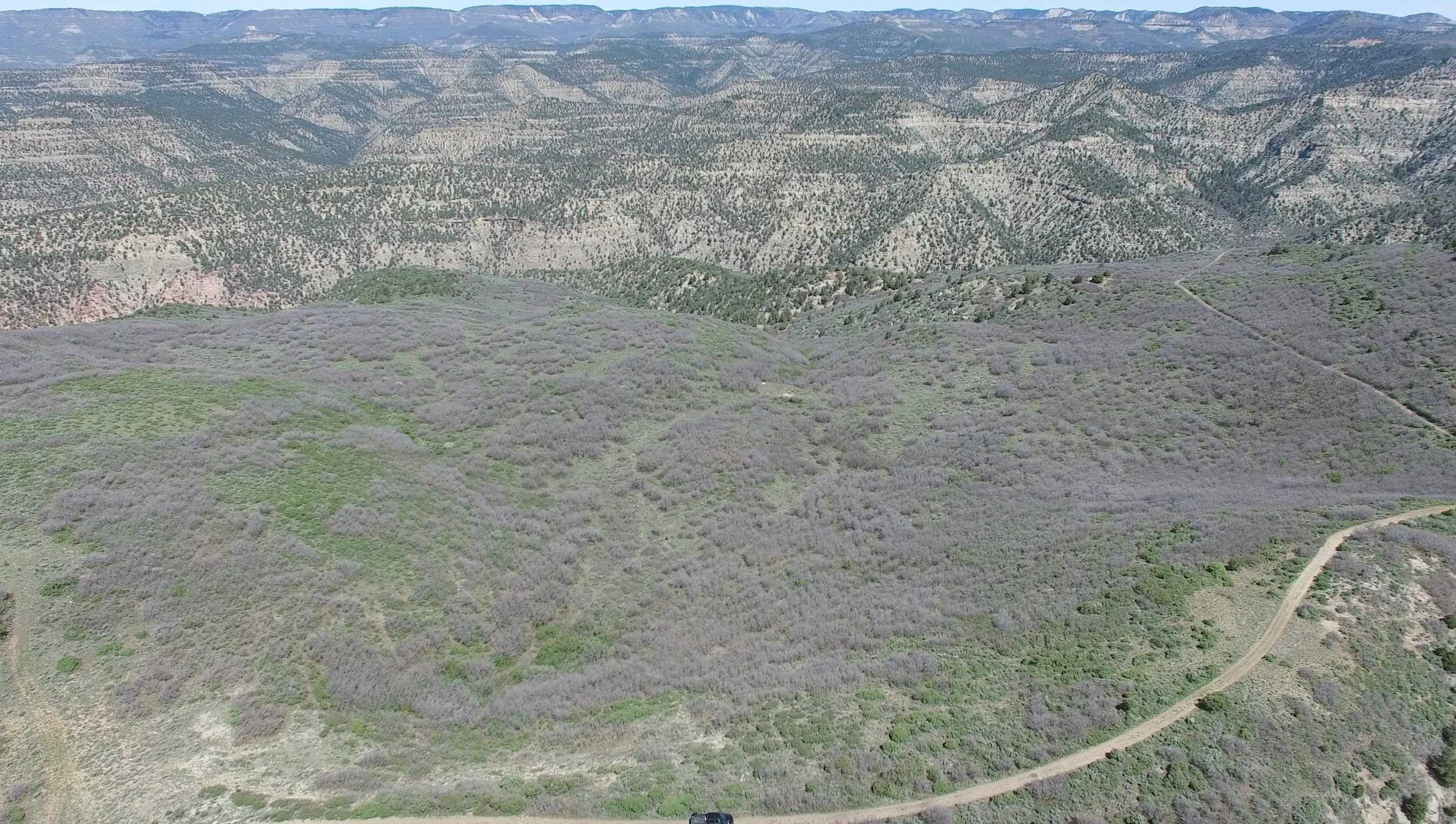 Tbd Tbd Petro Lewis Road De Beque, CO 81630 - Photo 8 of 35 Gallery Image 8