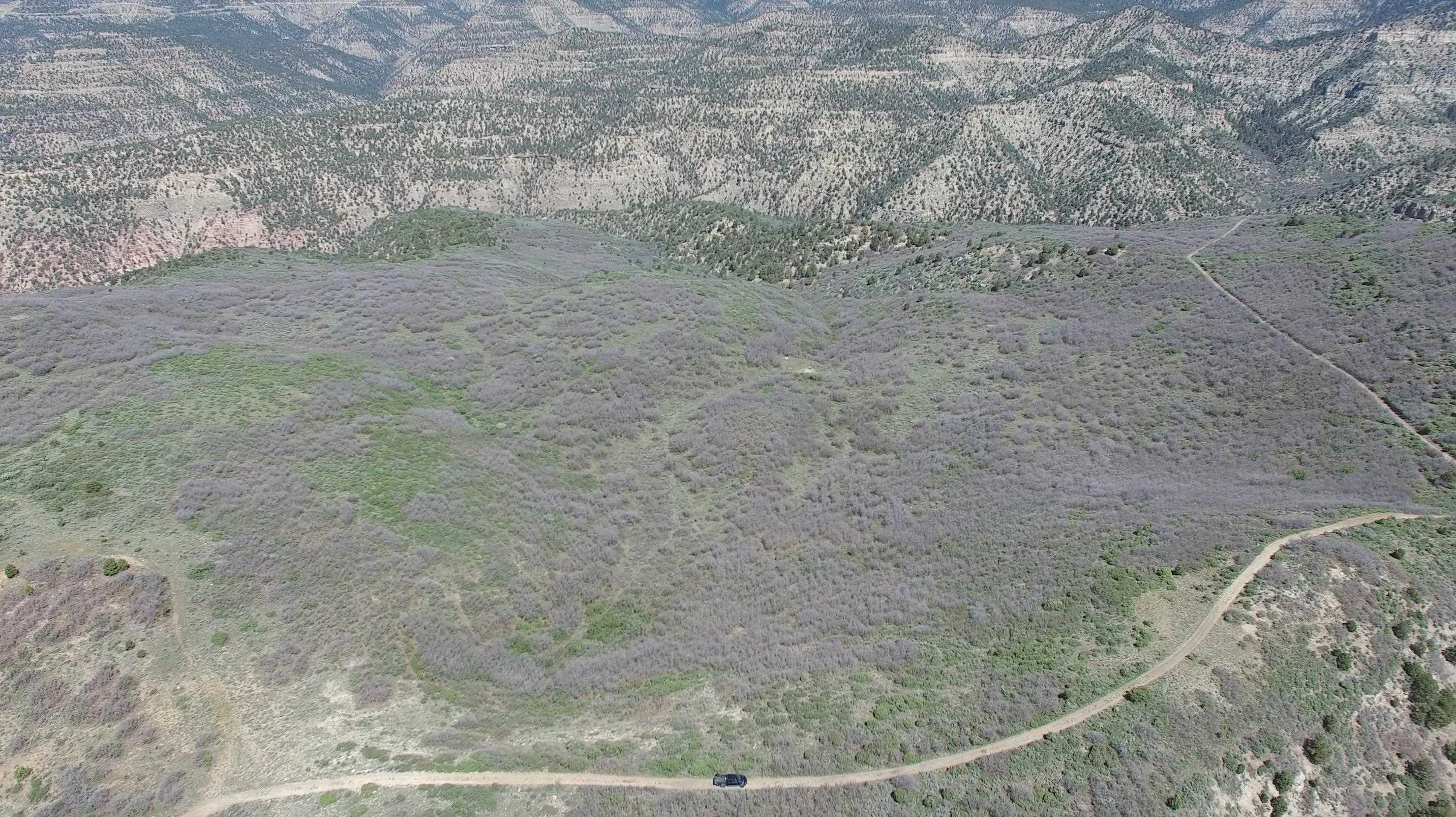 Tbd Tbd Petro Lewis Road De Beque, CO 81630 - Photo 9 of 35 Gallery Image 9