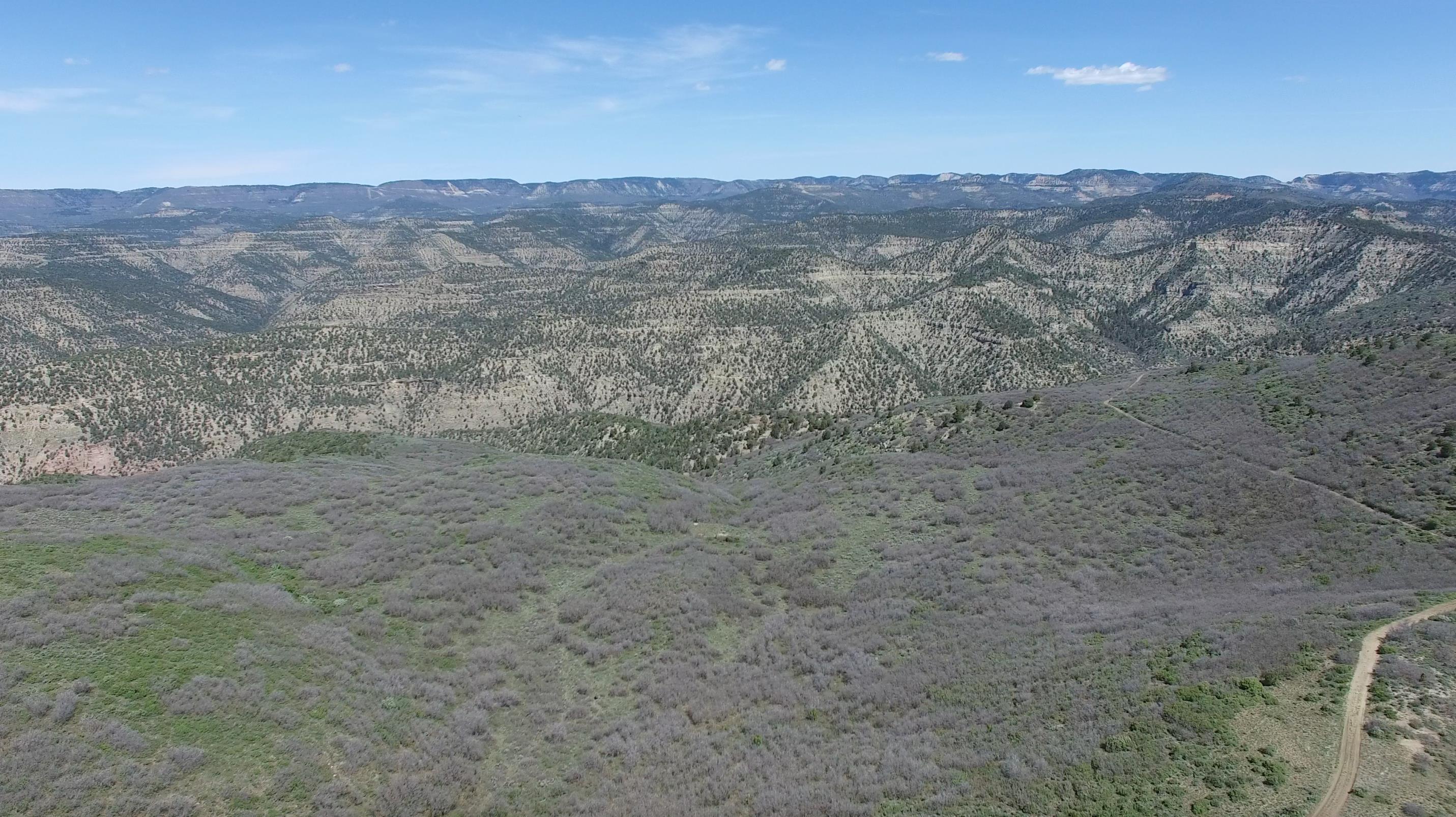 Tbd Tbd Petro Lewis Road De Beque, CO 81630 - Photo 10 of 35 Gallery Image 10