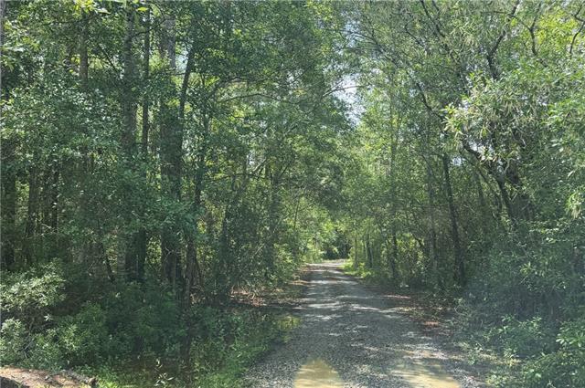 37196 West Powerline Road Pearl River, LA 70452 - Photo 4 of 7
