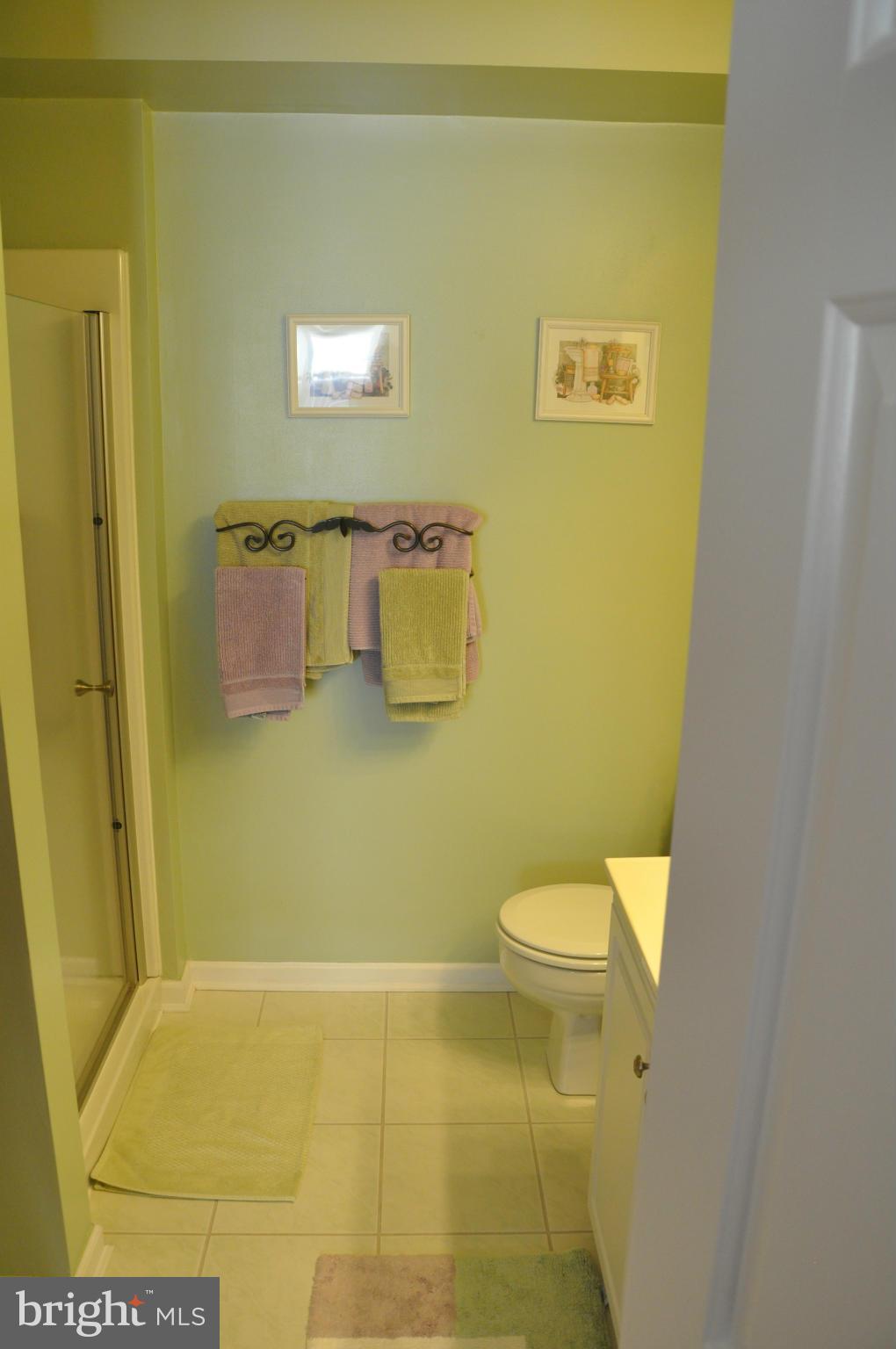 8351 Cypress Mill Road, Unit 8351 Baltimore, MD 21236 - Photo 15 of 17 Bath (Master)