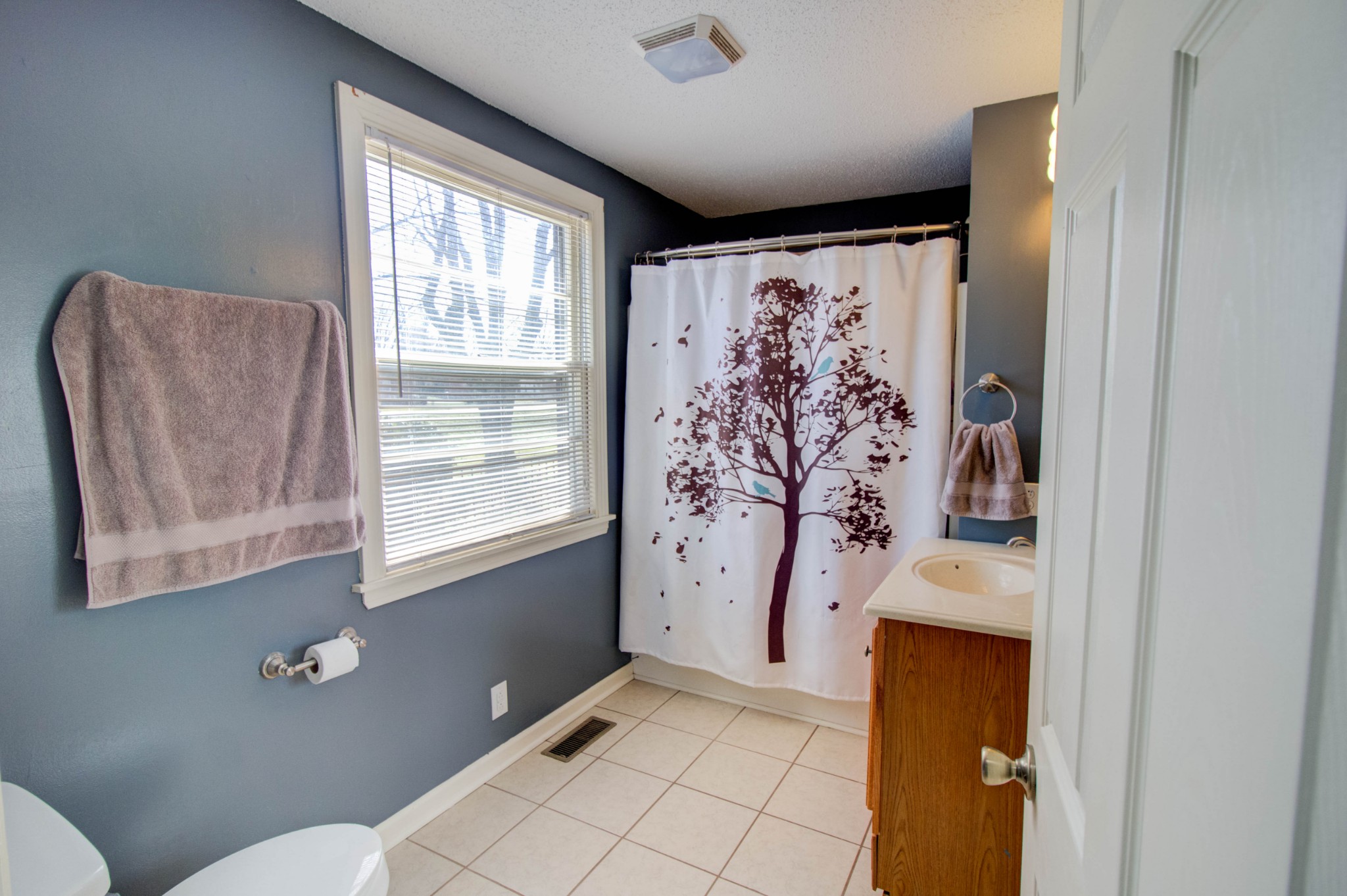 1409 5th Avenue West Springfield, TN 37172 - Photo 26 of 41 a view of bathroom with window and mirror