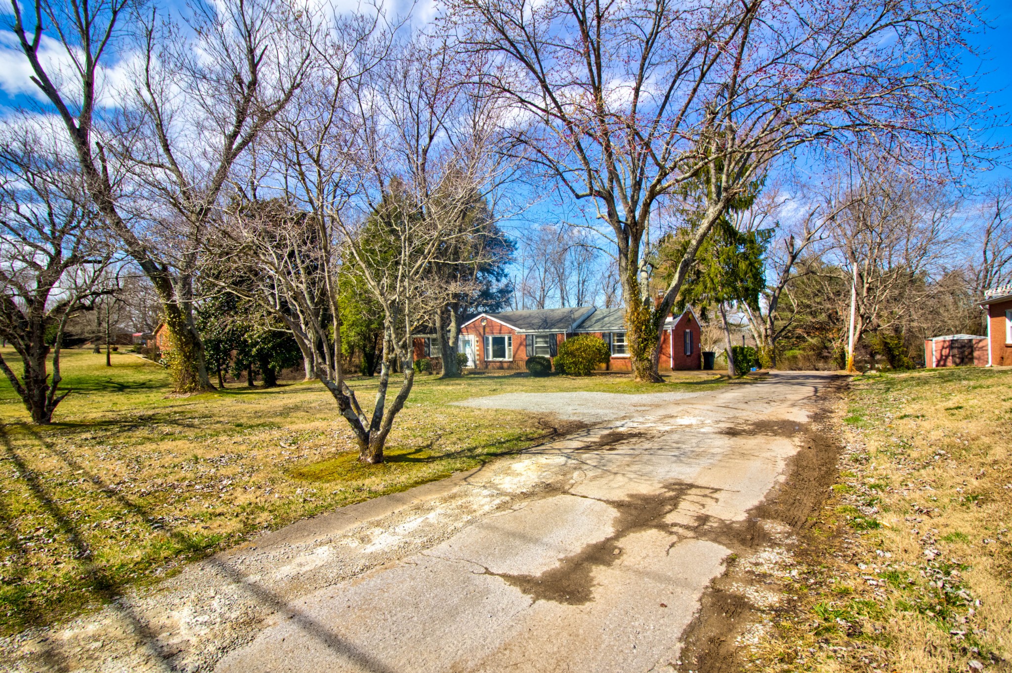 1409 5th Avenue West Springfield, TN 37172 - Photo 35 of 41 a view of road with trees
