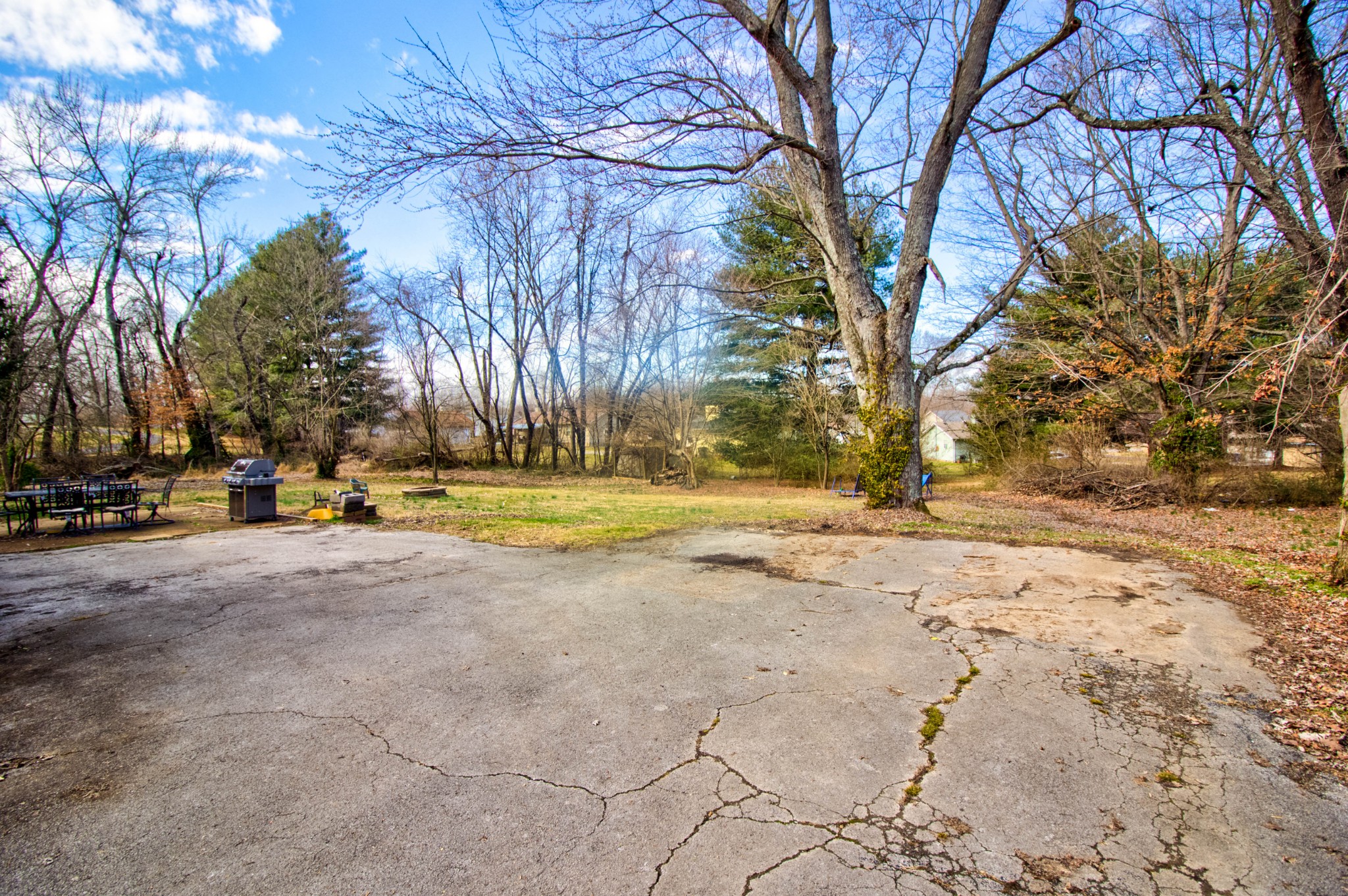 1409 5th Avenue West Springfield, TN 37172 - Photo 37 of 41 a view of road with large trees