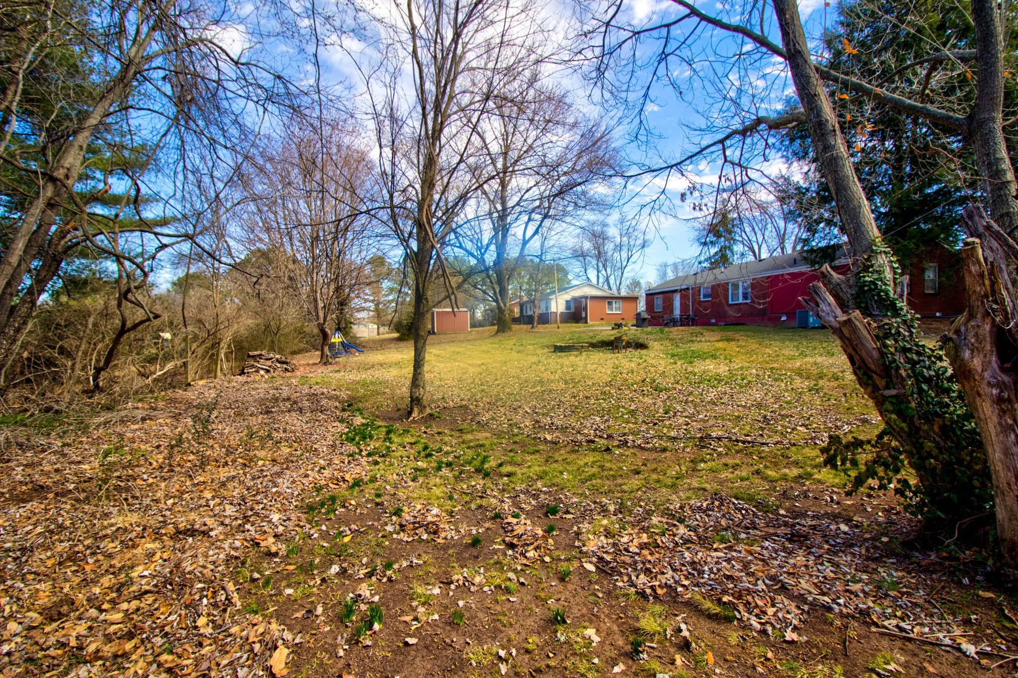 1409 5th Avenue West Springfield, TN 37172 - Photo 39 of 41 a view of a yard with a tree