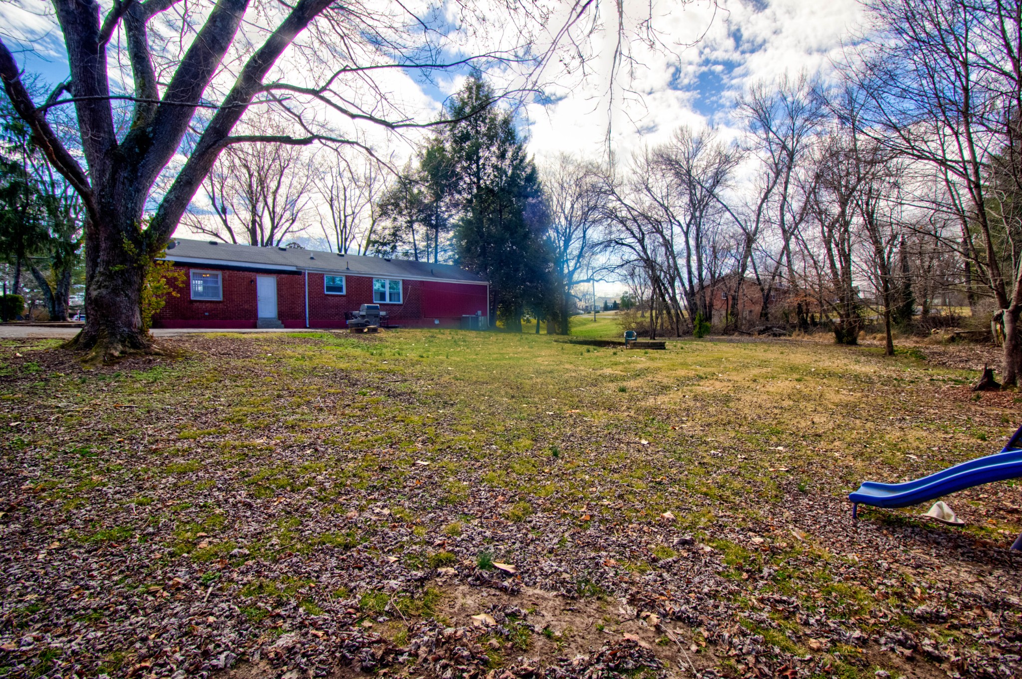 1409 5th Avenue West Springfield, TN 37172 - Photo 41 of 41 a view of a yard with a tree