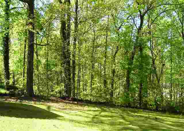 246 Riggs Drive Clemson, SC 29631 - Photo 23 of 23 Gallery Image 23