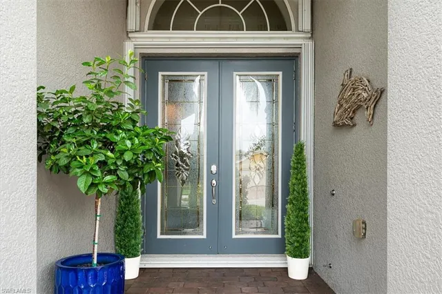 a potted plant sitting in front of a door