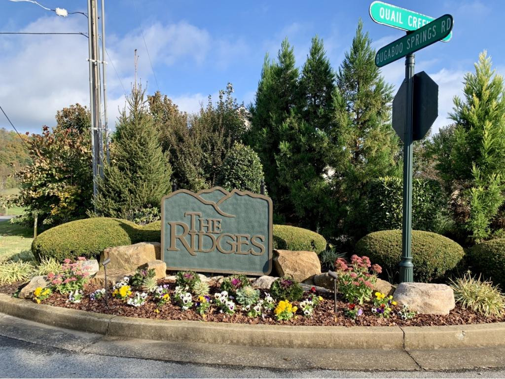 36 Quail Ridge Way, Unit 25 Jonesborough, TN 37659 - Photo 2 of 4 Beautiful entrance