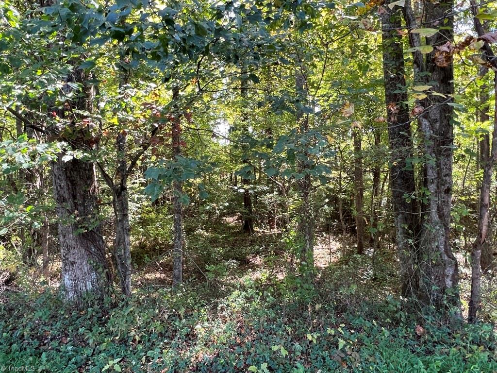 0 Jill Farm Road, Unit 1 9 Mount Airy, NC 27030 - Photo 3 of 7 Gallery Image 3