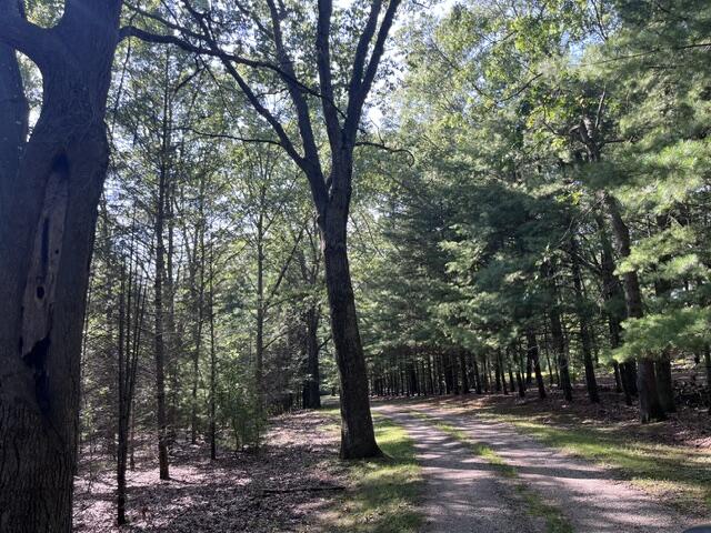 2235 Siuda Road Manistee, MI 49660 - Photo 15 of 76 IMG_1255