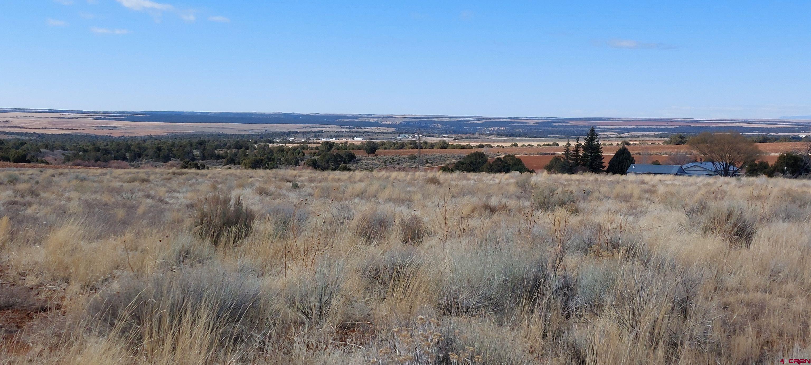 14134 Road N 3 Road Cahone, CO 81320 - Photo 9 of 13