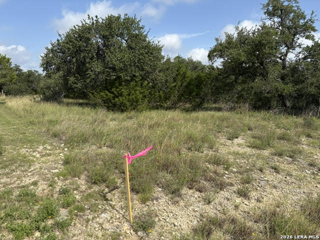 351 Ridge Point Spring Branch, TX 78070 - Photo 7 of 34