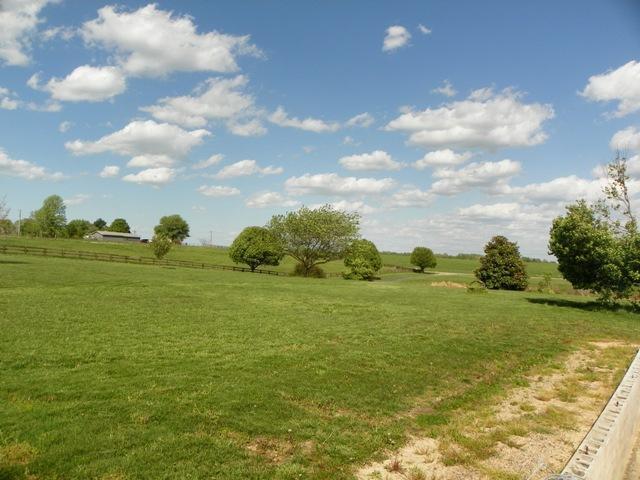 359 Liberty Road Eubank, KY 42567 - Photo 2 of 3 Additional Photo