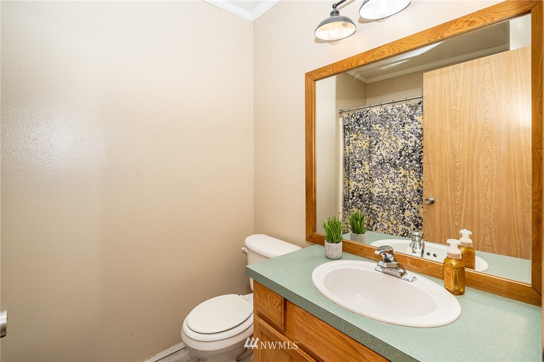 18036 Daryl Lane Southwest Rochester, WA 98579 - Photo 11 of 40 a bathroom with a sink a toilet and mirror