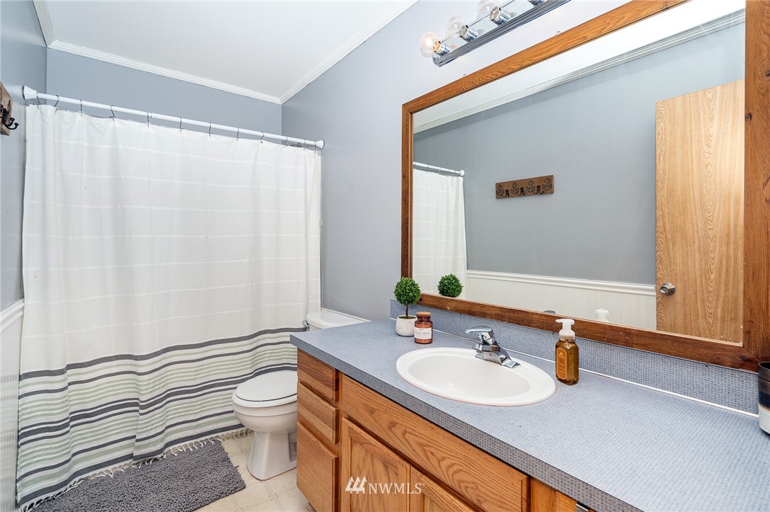 18036 Daryl Lane Southwest Rochester, WA 98579 - Photo 22 of 40 a bathroom with a sink a toilet and a mirror