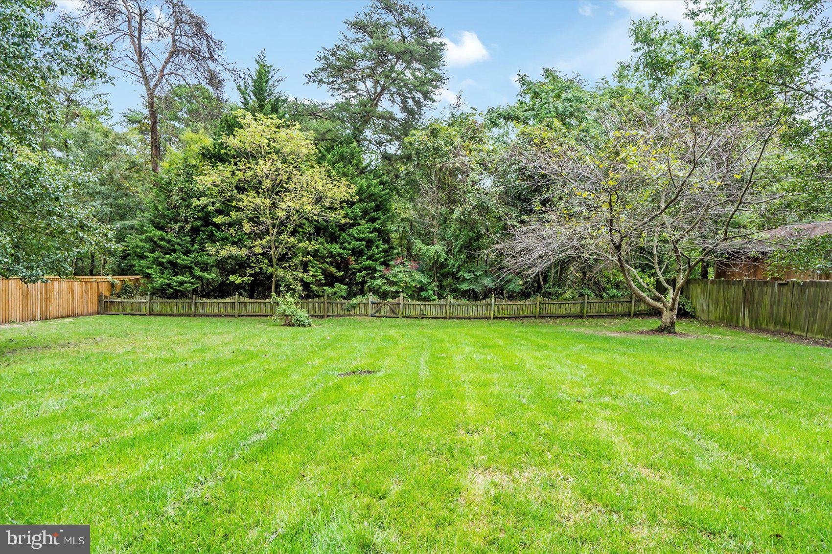 7909 Poplar Grove Road Severn, MD 21144 - Photo 35 of 39 Backyard