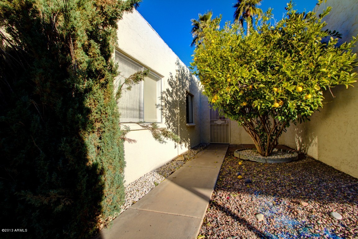 2263 North Recker Road Mesa, AZ 85215 - Photo 5 of 26 Recker (5)