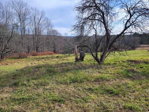 Foster Road White Lake, NY 12786 - Photo 1 of 1 Gallery Image 1