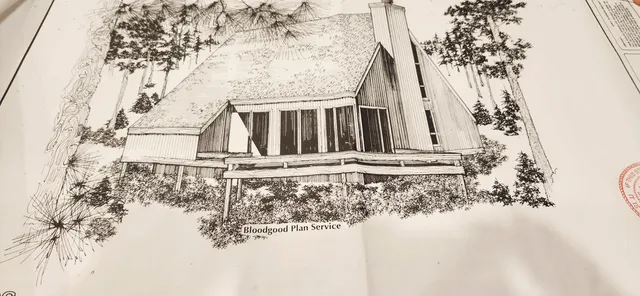 a view of wooden house with a yard and large tree