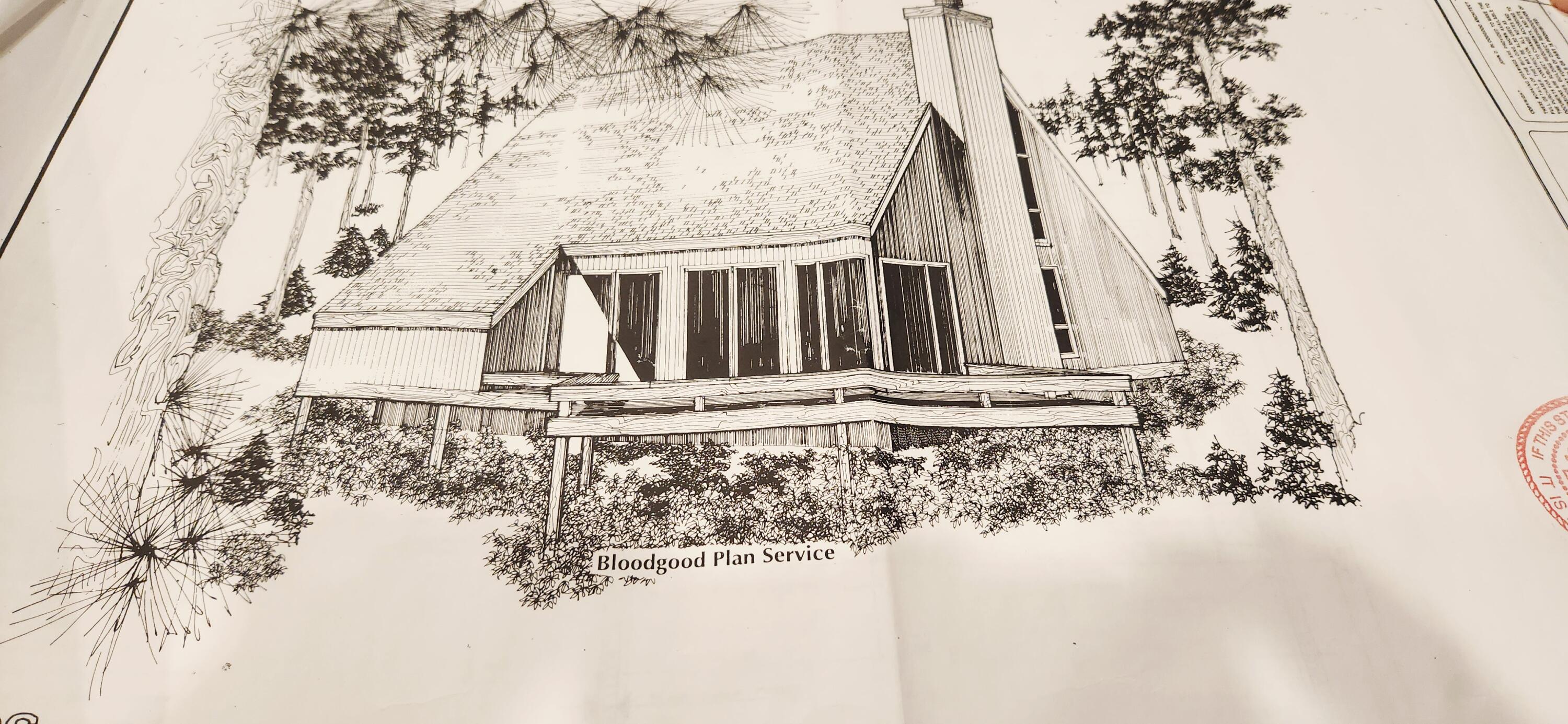 2 Creekview Avenue Freeport, FL 32439 - Photo 5 of 8 a view of wooden house with a yard and large tree