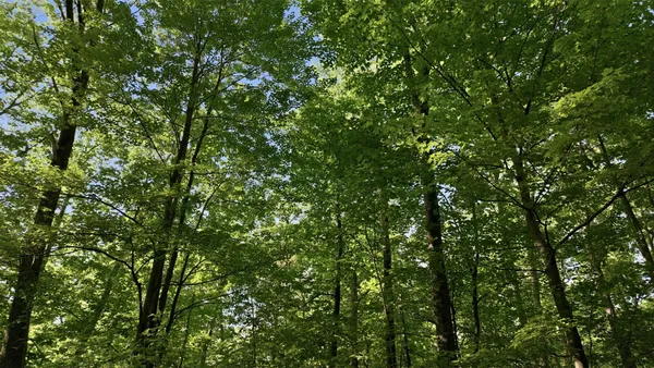 $59,900 | 0 North Dream Catcher Road, Hayward, WI 54843