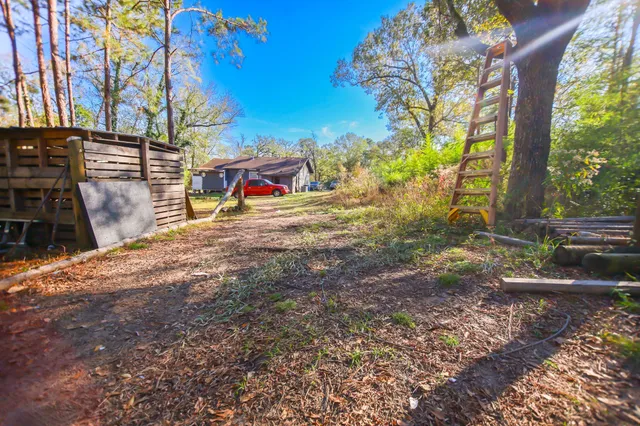 a view of road and trees