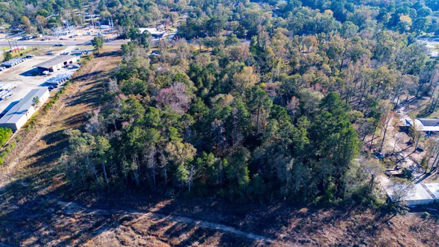 a view of a city with lots of plants