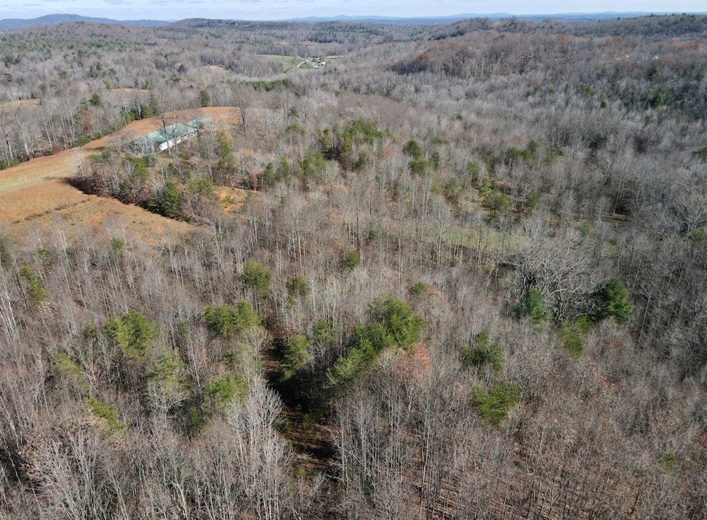 Old Mill Road Patrick Springs, VA 24133 - Photo 21 of 49 Gallery Image 21