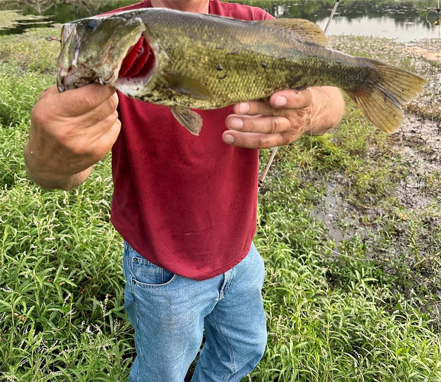 607 Faulkenberry Road Groesbeck, TX 76642 - Photo 6 of 40 a view of a wooden door