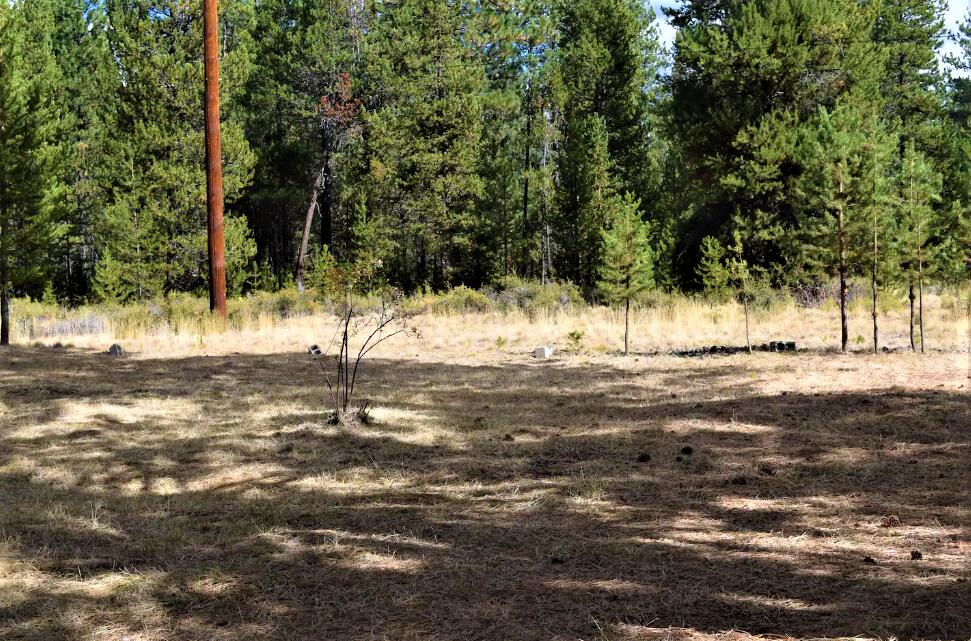 17890 Mockingbird Lane Bend, OR 97707 - Photo 24 of 27 Big back yard
